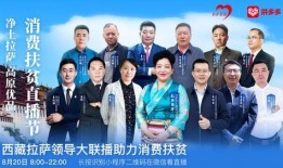 拉萨天团幕后爆料视频完整版,完整爆料视频深度解析