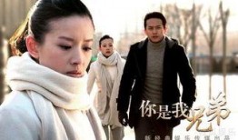 你是我兄弟爆料视频,揭秘“我是我兄弟”爆火视频背后的故事