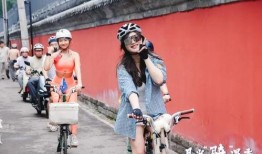 东莞荷塘夜色肖大妈爆料新闻,肖大妈独家爆料揭示惊人真相