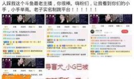 斗鱼土豪事件爆料视频,揭秘直播平台背后的惊人内幕