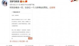 娱乐圈爆料文字模板下载,揭秘明星背后的秘密与真相