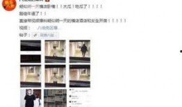 网红网友爆料事件视频播放,真相究竟如何？