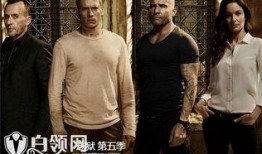 越狱第五季6 在线观看,生死逃亡，命运转折点
