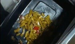 美食爆料的视频大全,热门视频大全带你领略舌尖上的世界