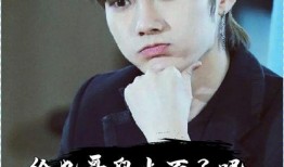 最新爆料任豪事件视频,真相与争议再引热议