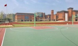 向阳小学爆料最新消息,揭秘校园热点事件背后的真相