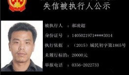 娱乐圈爆料者刘一飞的个人信息,揭秘幕后真相的神秘推手