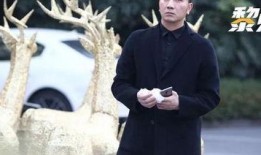 林生斌最新爆料兵哥,揭秘兵哥背后的惊人真相