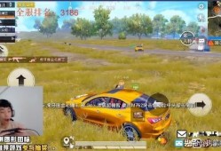 鲨鱼车队成员爆料视频播放,成员爆料视频幕后真相