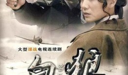 女匪传奇全集在线观看,传奇女匪的传奇人生，全集在线观看，揭秘江湖风云