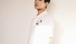 杨洋圈内爆料最新消息,揭秘娱乐圈不为人知的幕后故事