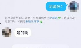 小李爆料视频大全集,揭秘娱乐圈幕后真相