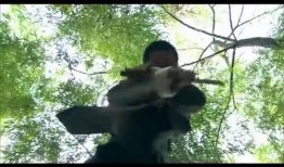 猎狼人电影在线观看,在线观影，揭秘神秘猎手与狼群的生死较量