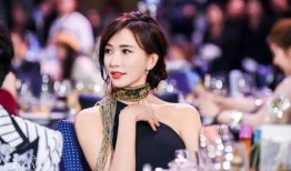 陈茵爆料酒店视频播放,揭秘幕后真相