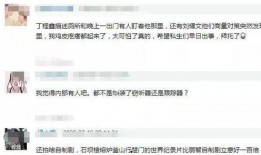 柬埔寨高管爆料视频曝光,视频曝光企业黑幕