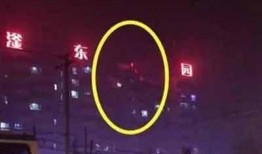 河北东方爆料最新消息今天,最新动态揭秘，今日热点事件深度解析！”