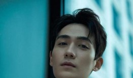 娱乐大爆料八卦白鹿视频