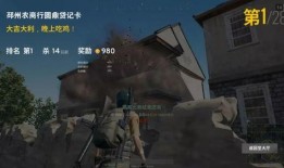 吃鸡最新爆料国外作者