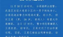 武汉爆料最新事件,揭秘神秘事件背后的真相