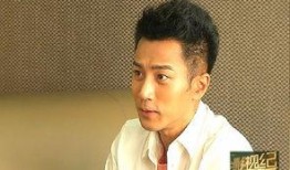 刘恺威爆料律师视频播放,揭秘娱乐圈内幕与真相