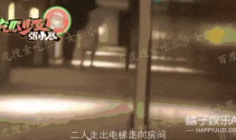 邢昭林狗仔爆料视频大全,揭秘娱乐圈幕后真相