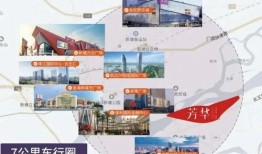 张翰新的爆料视频大全集,揭秘娱乐圈幕后真相