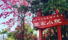 小味雷爆料天宫院视频,天宫院视频揭秘