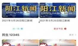 阳江新闻爆料平台有哪些,聚焦本地资讯，共筑信息桥梁