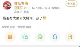 懂瓜呱最新爆料,懂瓜呱最新爆料，带你直击明星幕后真相