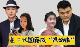 陈飞宇被明星爆料视频在线观看,在线观看引发热议