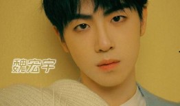 李星宇前女友爆料视频,揭秘背后惊人真相