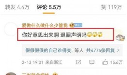 粉丝爆料陈飞宇事件视频,粉丝爆料引发热议