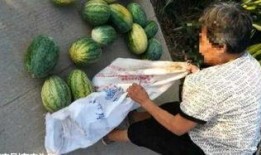 兰陵吃瓜最新事件爆料,揭秘最新事件背后的真相与争议