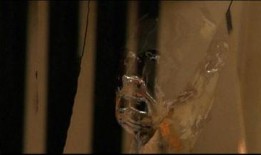 透明人2在线观看免费,免费在线观看，揭秘人体奥秘之旅