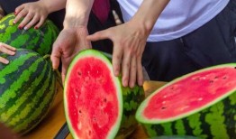 免费吃瓜月月,畅享美食盛宴，尽享欢乐时光