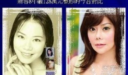 台湾节目爆料整容视频播放,揭秘明星整形真相