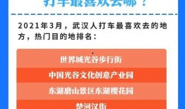 武汉市新闻爆料热线,聚焦城市脉搏，倾听市民心声