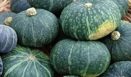 吃瓜的台湾网红有哪些,揭秘热门话题背后的故事