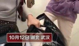 保定爆料女孩视频播放,真相与舆论的碰撞