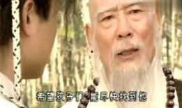 乘龙快婿爆料视频全集,揭秘豪门背后的惊人真相