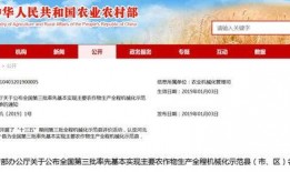 宁晋县网友爆料新闻