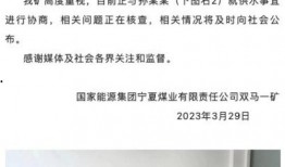 神华集团爆料新闻报道内容,揭秘能源巨头最新动态与战略布局