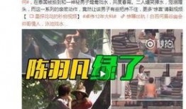 老汪爆料背后原因视频大全,视频大全深度解析