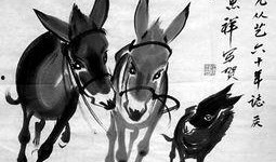 谁爆料八卦大驴的视频播放,揭秘大驴视频播放背后的八卦风云