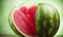 qq群吃的瓜免费最新,一场网络社交的狂欢盛宴