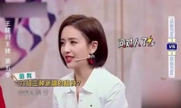 腾哥爆料全部视频,揭秘幕后真相与精彩瞬间