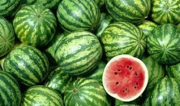 网红吃瓜qq颜色,揭秘QQ颜色背后的秘密