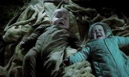 丧尸玩过界在线观看,末世求生记