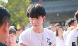 抖音爆料刘宇宁事件视频,真相与争议