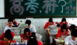 高考最新爆料,政策调整与备考策略全解析